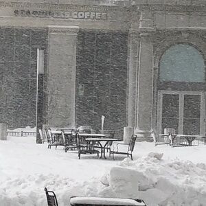 Winter in the Northeast 2/2026